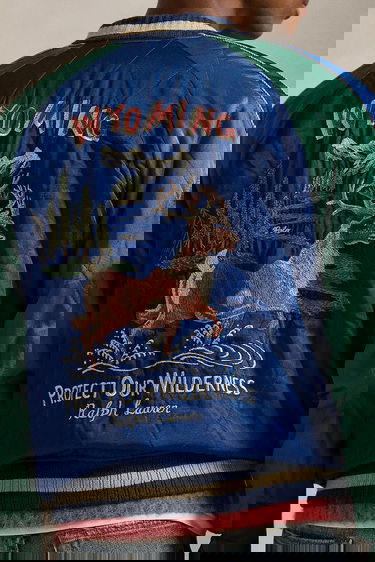 Bomberjacka Polo by Ralph Lauren Bomber Jacket TAKIHYO SATIN.SVNR with Embroidered Scenic Details Flerfärgad | 710977856001, 2