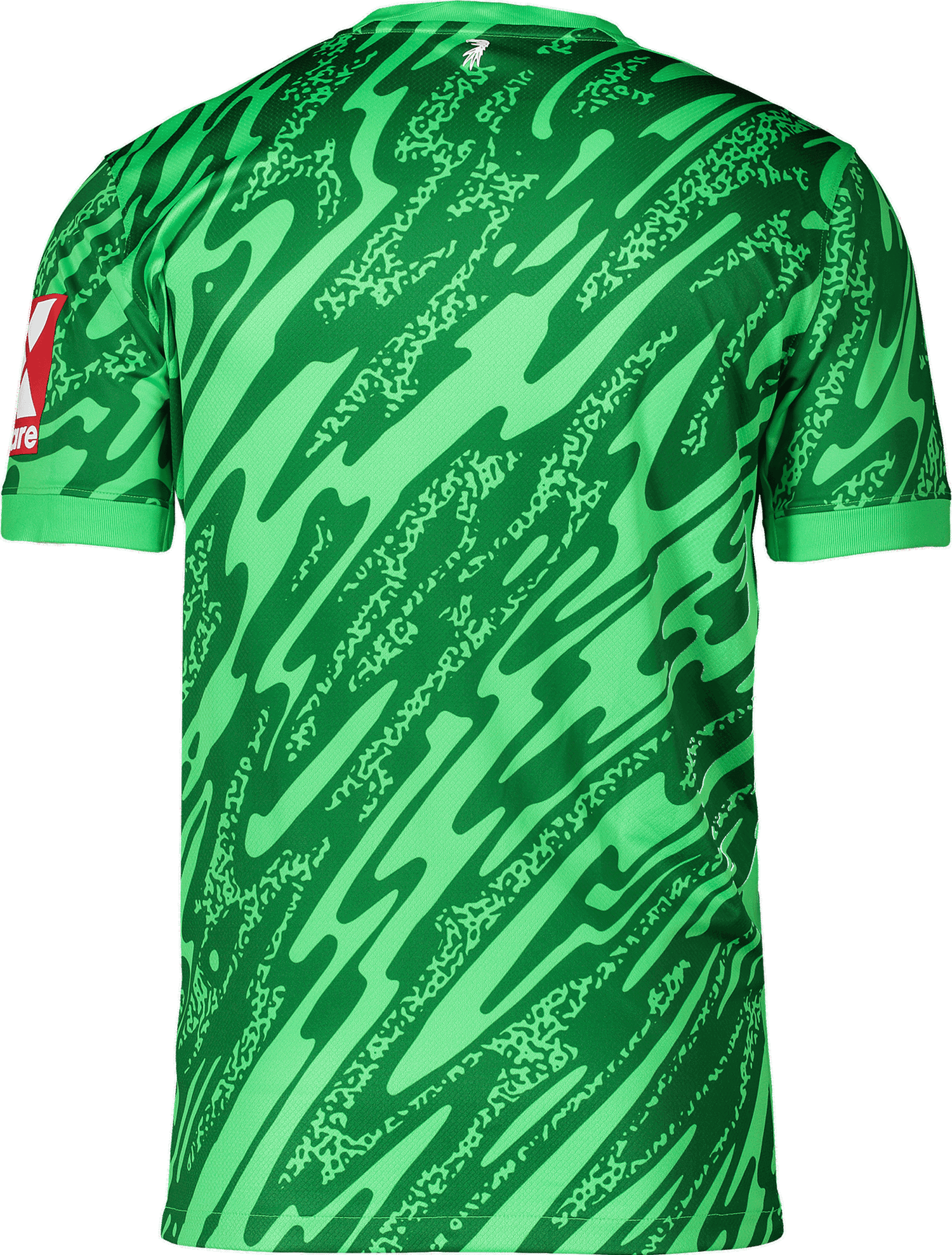 Jersey Nike Nike SC Freiburg Goalkeeper Jersey 2025/26 Grön | 6scffd7482-329, 1