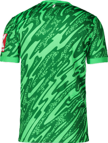 Jersey Nike Nike SC Freiburg Goalkeeper Jersey 2025/26 Grön | 6scffd7482-329, 1