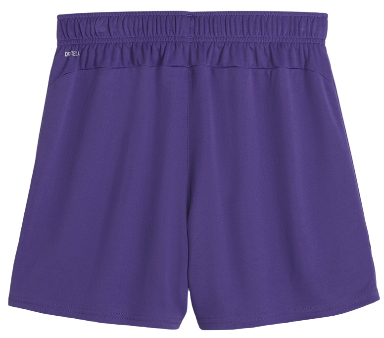 Shorts Puma teamGOAL Shorts Wmns Purpur | 705754-10, 1