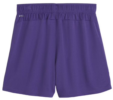Shorts Puma teamGOAL Shorts Wmns Purpur | 705754-10, 1
