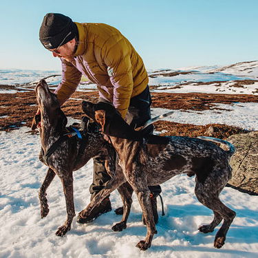 Pufferjacka Lundhags Lundhags Tived Down Jacket Gul | 42609-23, 5