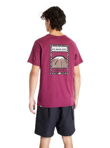 T-shirt The North Face North Face Rosa | NF00CEQ8I0H