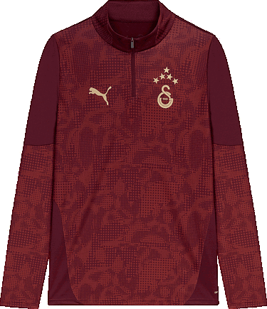 T-shirt Puma Puma GSK Training 1/4 Zip Top Bourgogne | 782887-03, 0