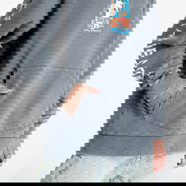 Sweatshirt RIPNDIP RIPNDIP Nerms Cans Hoodie Grå | RNDSPR25129, 2