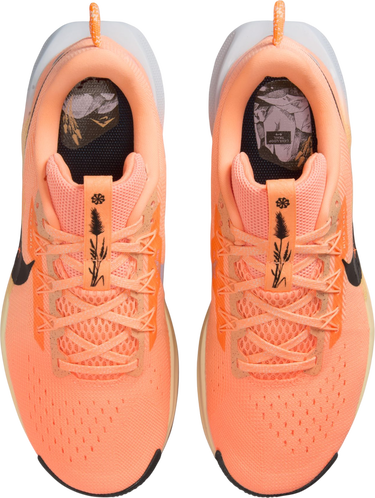Sneakers och skor Nike Pegasus Trail 5 Orange | dv3865-800, 2