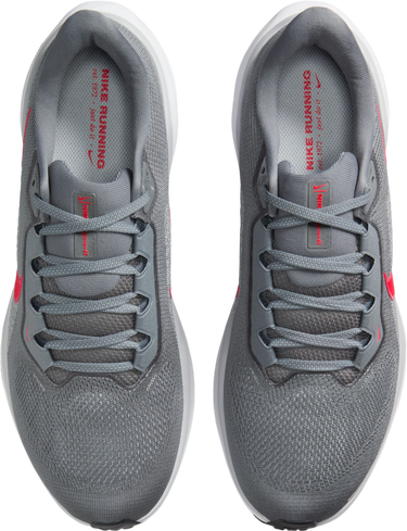Sneakers och skor Nike Pegasus 41 Grå | fd2722-013, 2