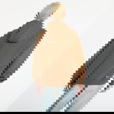 Sweatshirt Nike ACG ACG Tuff Fleece Pullover Hoodie Brun | DZ3392-235, 3