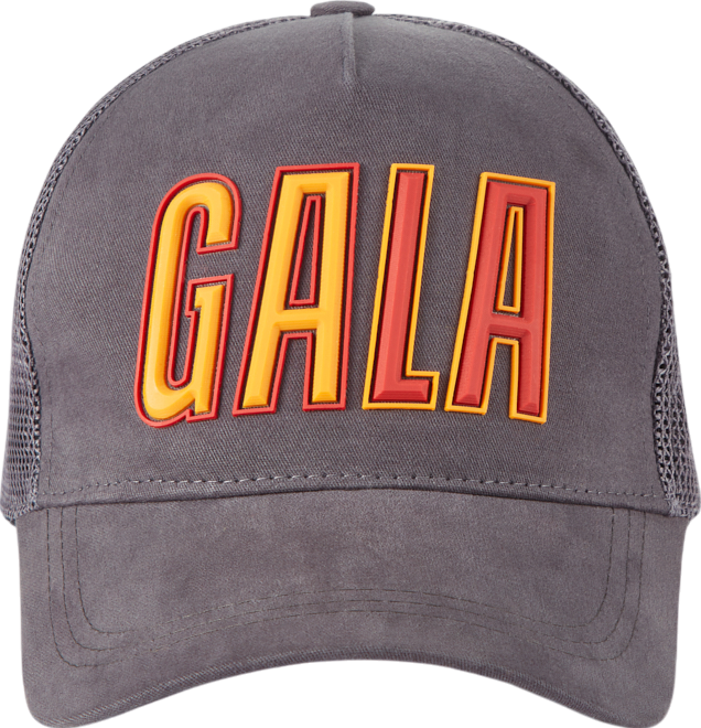 Keps Puma Puma Galatasaray Istanbul Trucker Cap Grå | u251187-304