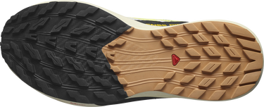 Sneakers och skor Salomon SENSE RIDE 5 W Gul | l47458800, 2