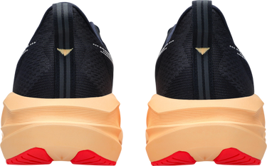 Sneakers och skor Asics NOVABLAST 5 Svart | 1011b974-404, 2