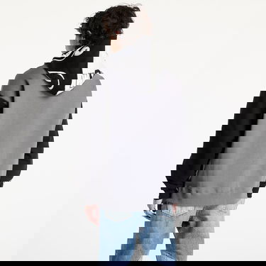 Sweatshirt BAPE Shark Full Zip Hoodie Grå | 001ZPK701311M BLK, 6