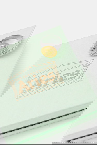 Ringa Aries Aries Signet Ring Metallisk | AR9020303, 1