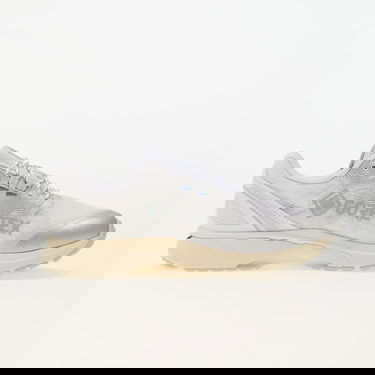 Sneakers och skor Asics Gel-Terrain GTX Grå | 1203A457-100, 2