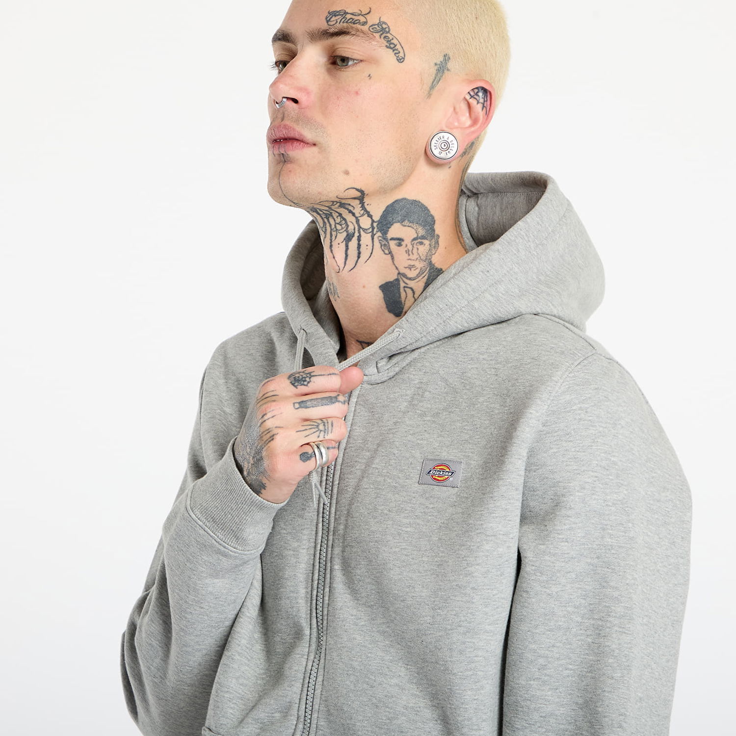 Sweatshirt Dickies Oakport Zip Hoodie Grå | DK0A4XD3HG01, 1