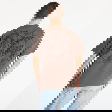 T-shirt Nike NSW Wings Victory Short Sleeve Graphic T-Shirt Brun | HV0167-004, 2