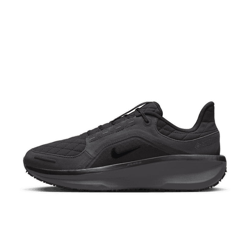 Löpning Nike Winflo 11 GORE-TEX Svart | FQ1358-001