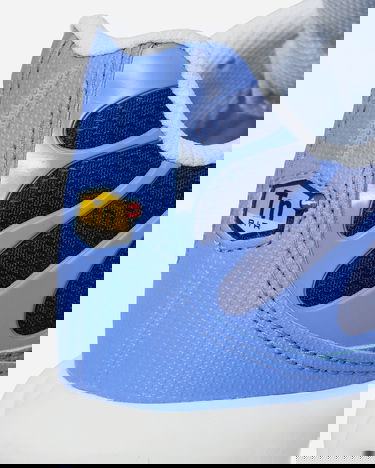 Sneakers och skor Nike Air Max Plus Royal Pulse Blå | DM0032-403, 6