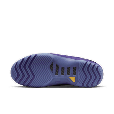 Sneakers och skor Nike Air Zoom Generation "Purple Suede" Mörkblå | FJ0667-500, 2