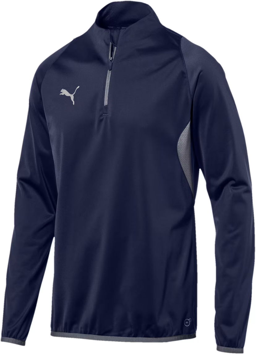 Sweatshirt Puma Football NXT 1/4 Zip Top Blå | 655805-003