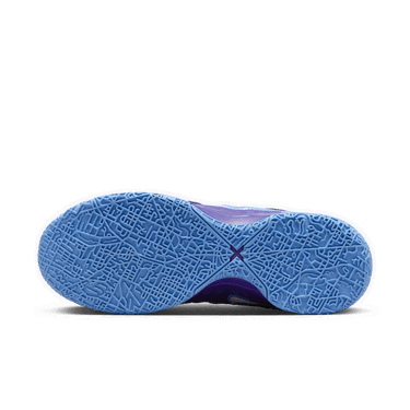 Sneakers och skor Nike LeBron NXXT Gen AMPD Purpur | FJ1566-500, 3