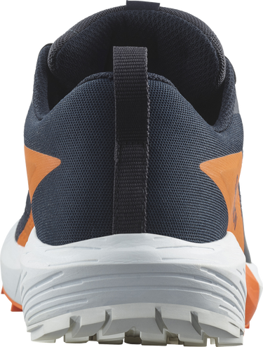 Sneakers och skor Salomon SENSE RIDE 5 GTX Svart | l47459400, 3