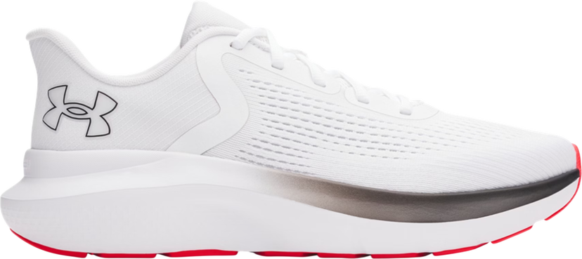 Sneakers och skor Under Armour Charged Rogue 5 Vit | 3028256-104