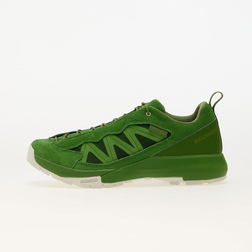 Outdoor Salomon Alpinway SP2 Grön | L47707700