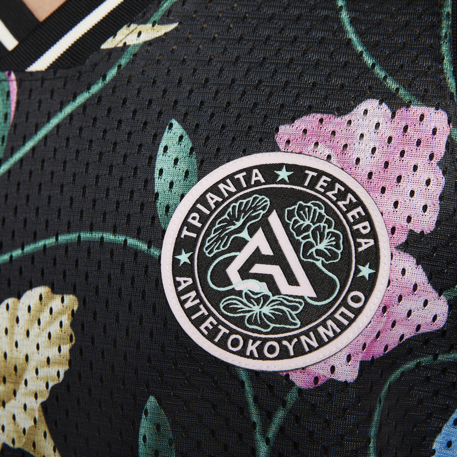 Jersey Nike Dri-FIT DNA Janis Flerfärgad | FB7025-010, 1