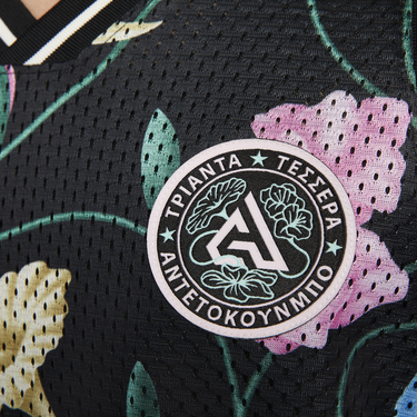 Jersey Nike Dri-FIT DNA Janis Flerfärgad | FB7025-010, 1