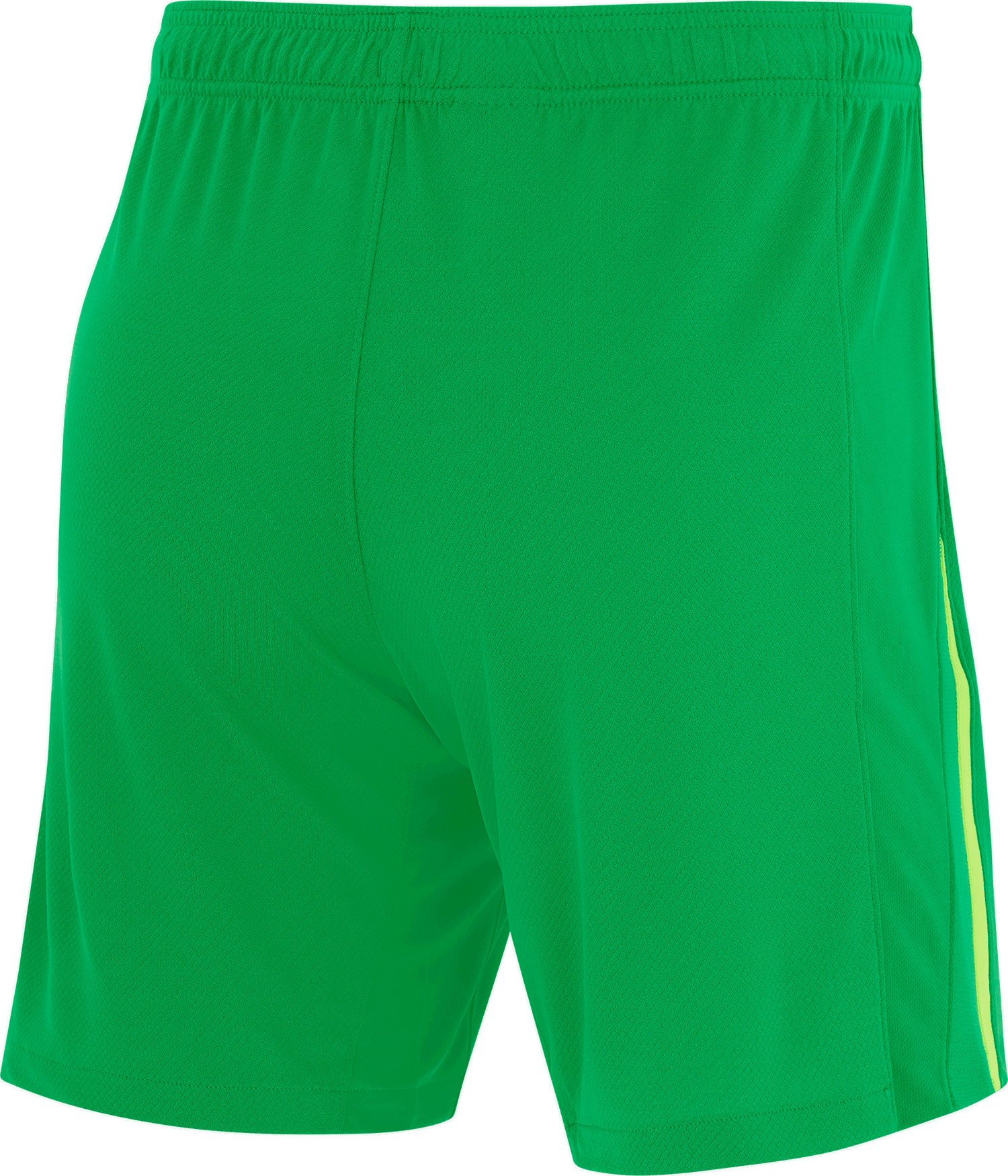Shorts Nike Green Training Shorts 2024/25 Grön | fz2821-310, 1