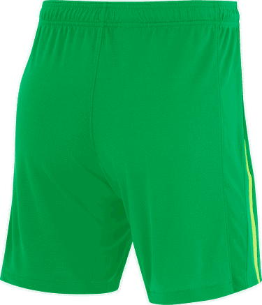 Shorts Nike Green Training Shorts 2024/25 Grön | fz2821-310, 1