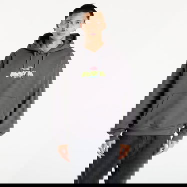 Sweatshirt The North Face Expedition Celebration Oversized Hoodie Grå | NF0A8E3FRHI1, 0