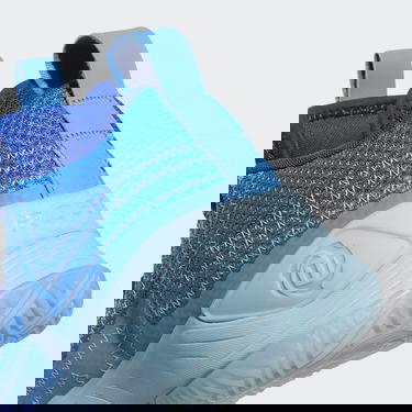 Sneakers och skor adidas Originals D Rose "Son of Chi" Blå | GY6494, 5