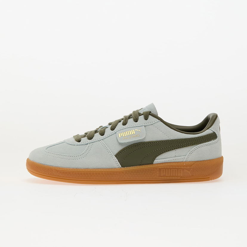 Sneakers och skor Puma Palermo Grå | 39646351