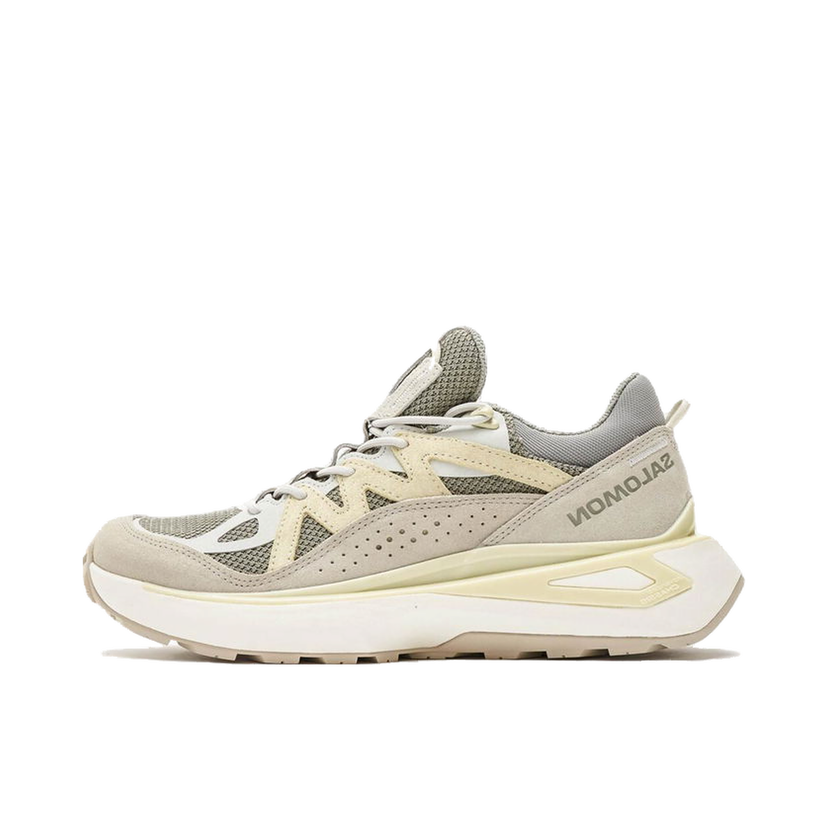 Sneakers och skor Salomon ODYSSEY ELMT LOW Beige | L47376700