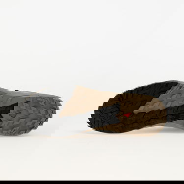 Sneakers och skor Salomon Alpinway Advanced Sedsa/ FalRoc/ Blue Grå | L47731100, 1