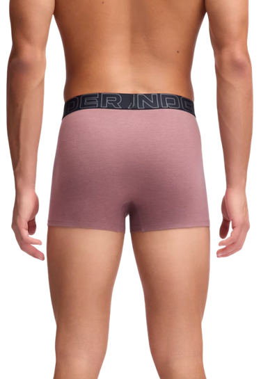 Boxare Under Armour Under Armour SOLID 3" Boxer Shorts, 3-Pack Flerfärgad | 1383891-651, 4
