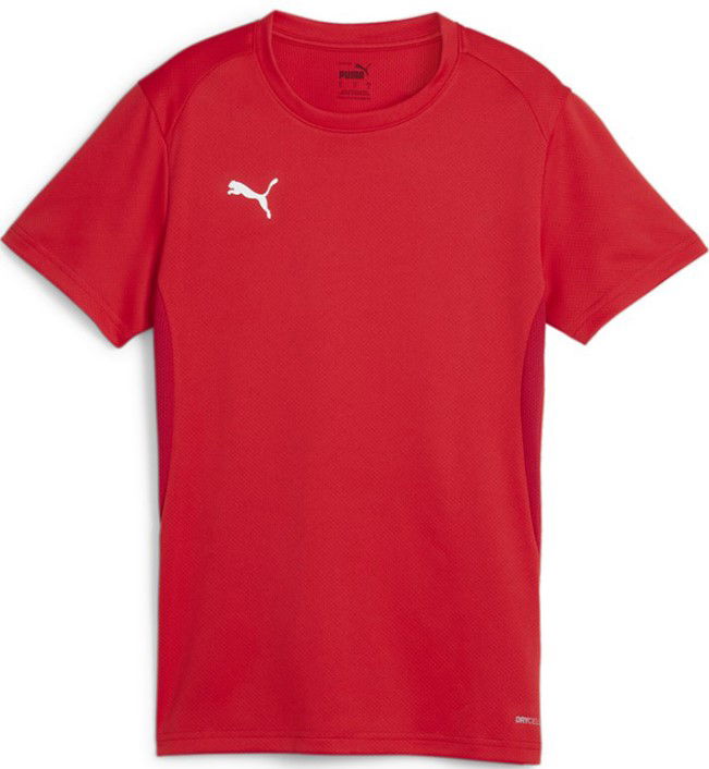 Jersey Puma teamGOAL Jersey W Röd | 658638-01