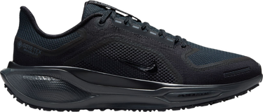 Sneakers och skor Nike Pegasus 41 GORE-TEX Svart | fq1357-001, 0