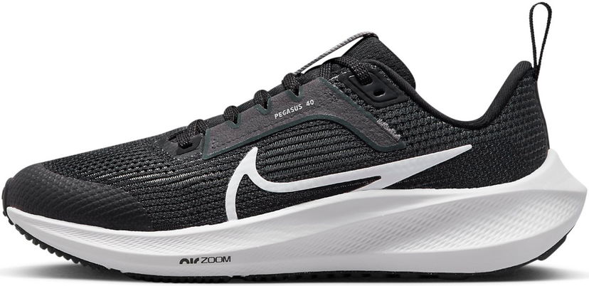 Löpning Nike Air Zoom Pegasus 40 Svart | dx2498-001