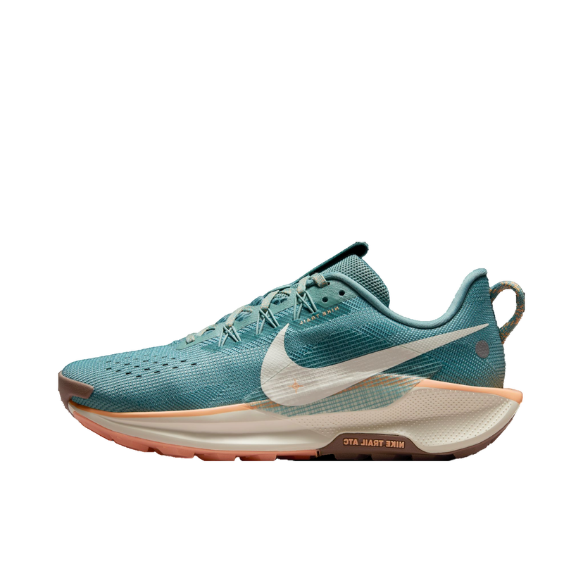 Sneakers och skor Nike Pegasus Trail 5 Turkos | dv3865-010
