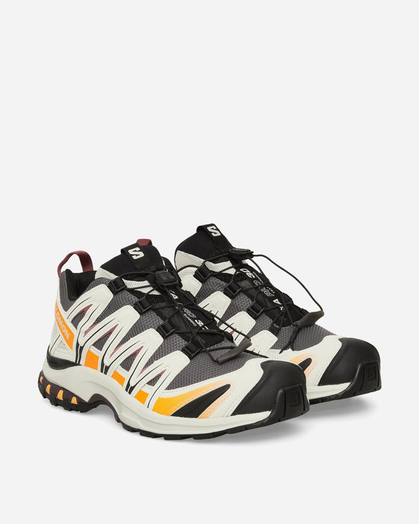 Tillbehör Salomon XA PRO 3D Beige | L47867700