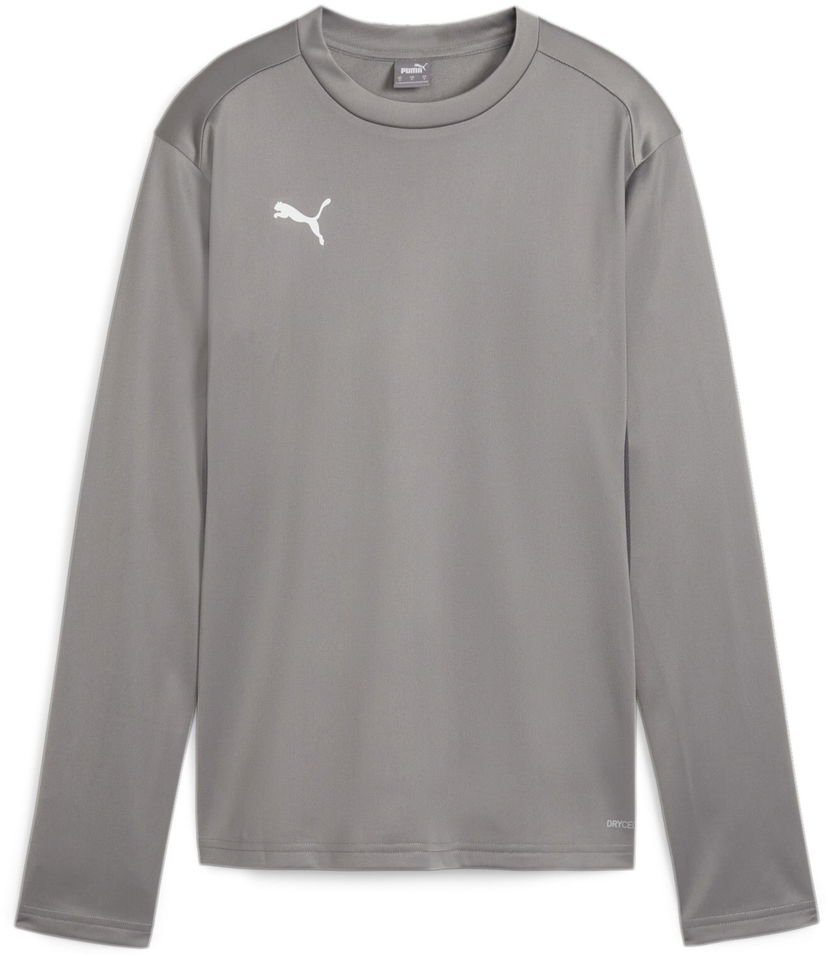Sweatshirt Puma teamGOAL Training Sweatshirt Grå | 658652-13