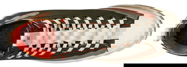 Sneakers och skor Converse Chuck 70 Hi X Todd Snyder Grön | 173059c-347, 3