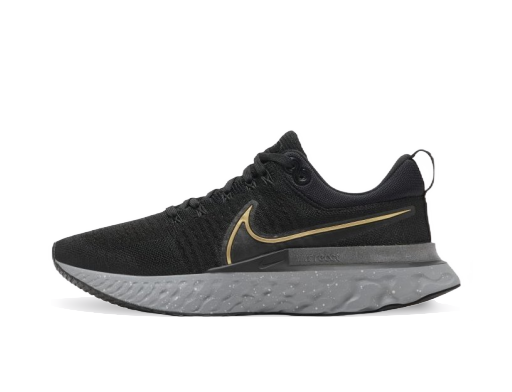Löpning Nike React Infinity Run Flyknit 2 Svart | CT2357-009