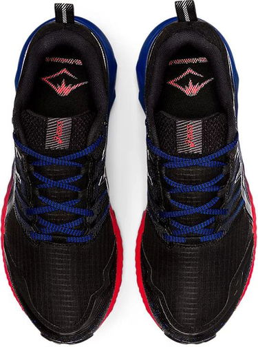 Sneakers och skor Asics GEL-Trabuco 9 GTX Svart | 1011b027-003, 2