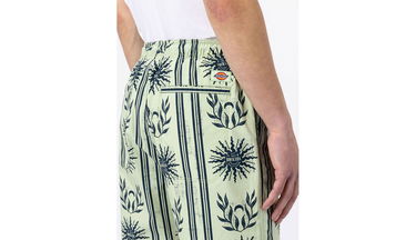 Shorts Dickies Kelso Short Flerfärgad | DK0A4XNDC34, 5