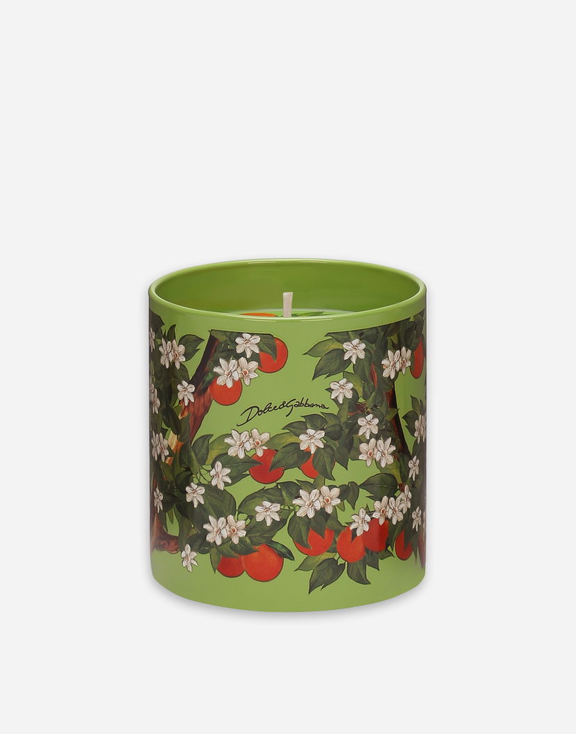 Ljus Dolce & Gabbana Dolce & Gabbana Sicilian Orange Scented Candle Grön | TCC159TCAG3U0044