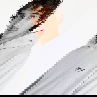 Sweatshirt Represent Clo REPRESENT OWNERS CLUB HOODIE Grå | OCM41113-158, 3